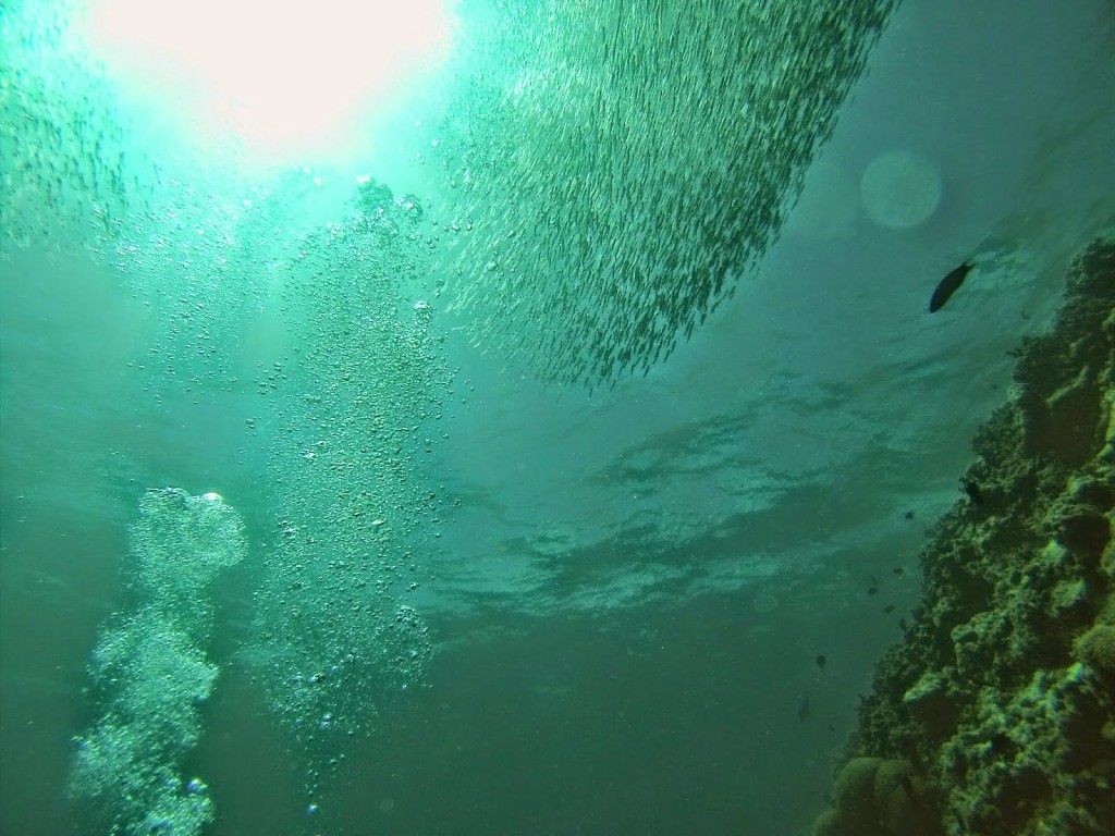 mergulho cilindro scuba diving velassaru resort hotel - dicas de viagem lua de mel nas ilhas maldivas