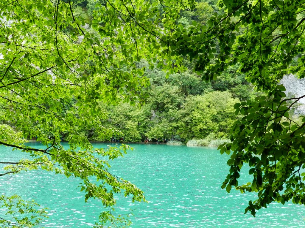 11 Lower lakes lagos de plitvice lakes croacia lalarebelo blog dicas viagem