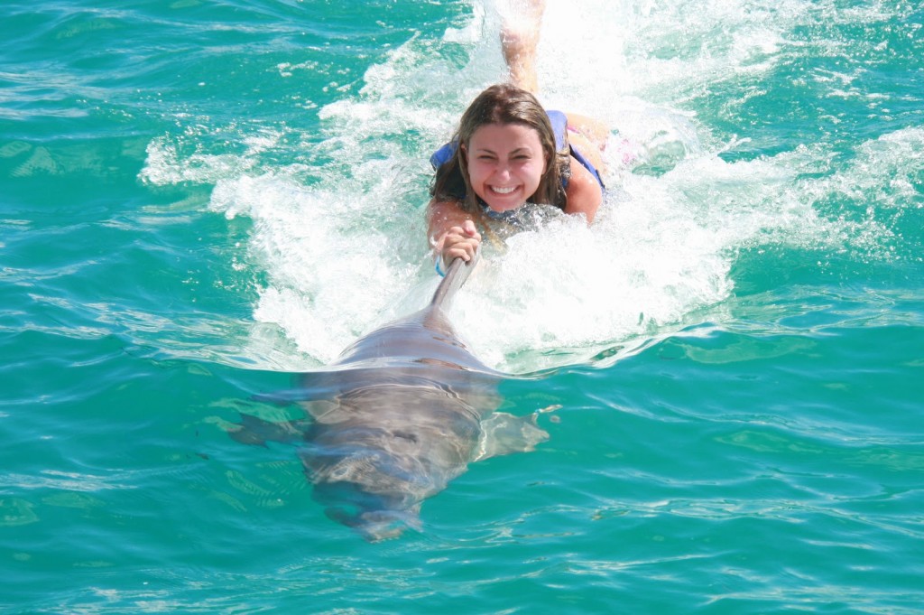 16 DOLPHIN EXPLORER - interação e nado com golfinhos - punta cana dicas de viagem republica dominicana caribe bavaro