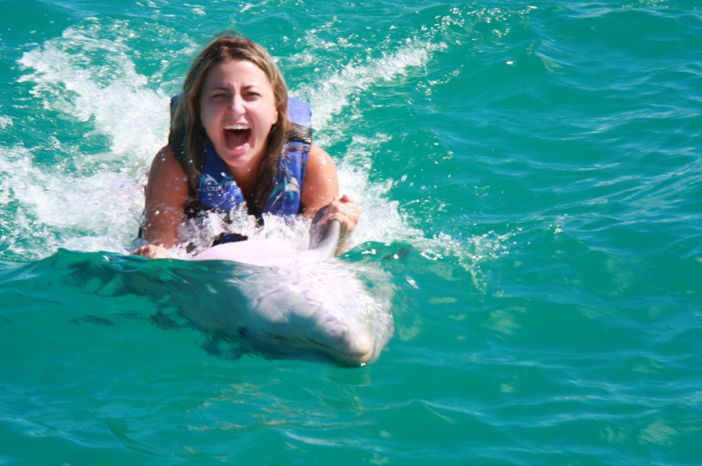 20 DOLPHIN EXPLORER - interação e nado com golfinhos - punta cana dicas de viagem republica dominicana caribe bavaro