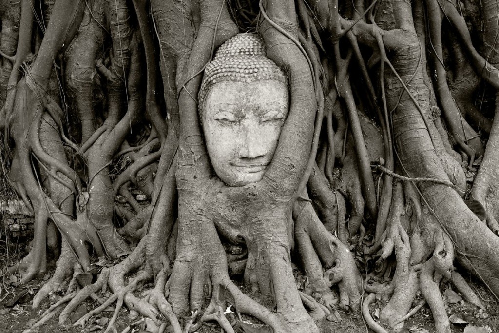 Wat Mahathat | foto: ohthailand.com