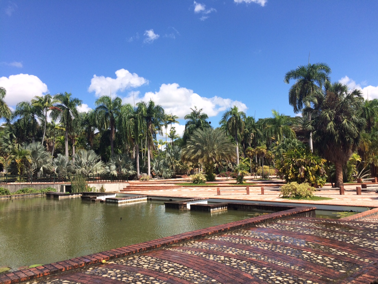 Jardim Botânico Nacional - Santo Domingo - República Dominicana