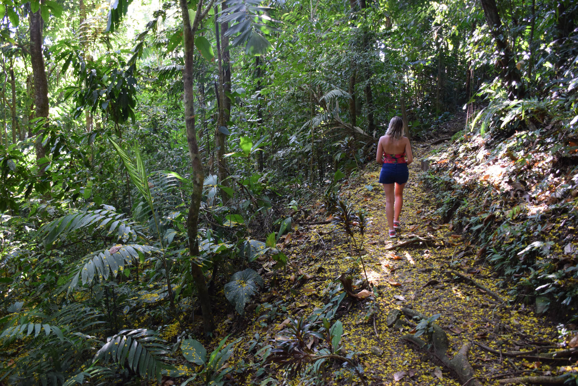 Uvita-Costa-Rica-Oxygen-Jungle-Villas_0144