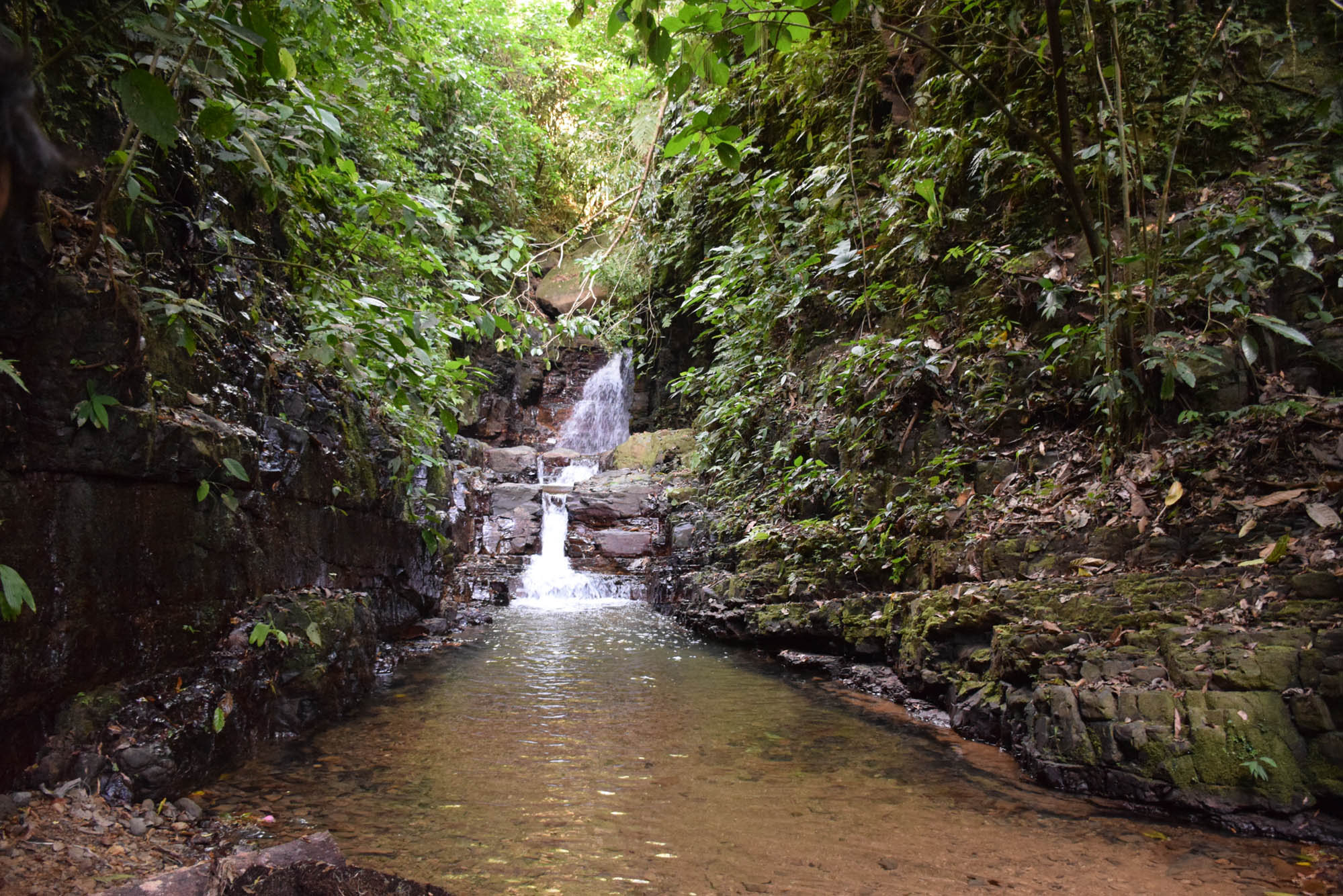 Uvita-Costa-Rica-Oxygen-Jungle-Villas_0159