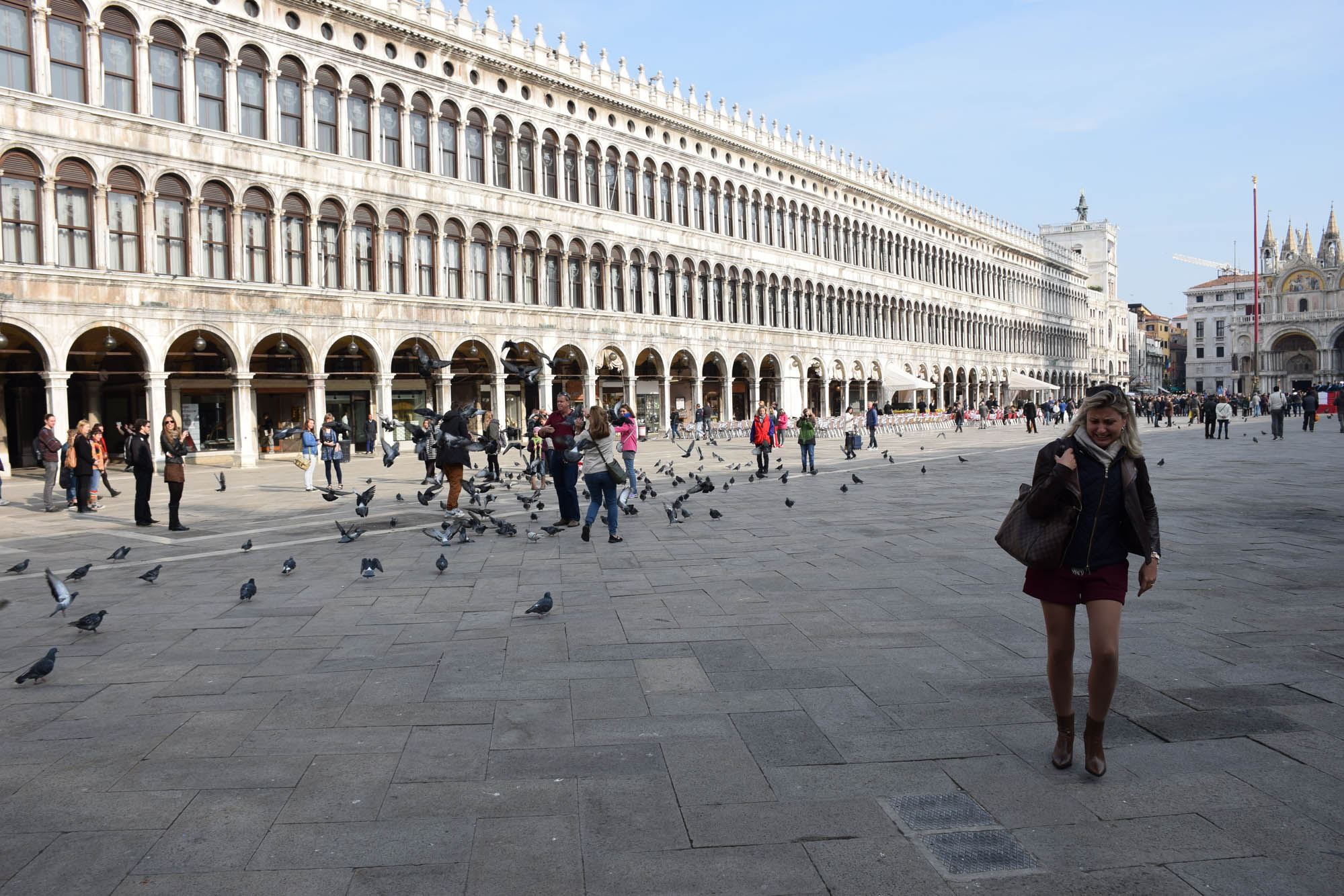 Pombofobia é o nome disso! SOCORROOOOO! | Piazza San Marco, Veneza