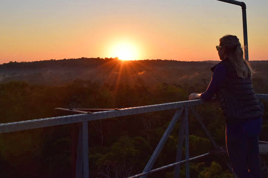 Sol nascendo sobre as árvores da Amazônia - Cristalino Lodge