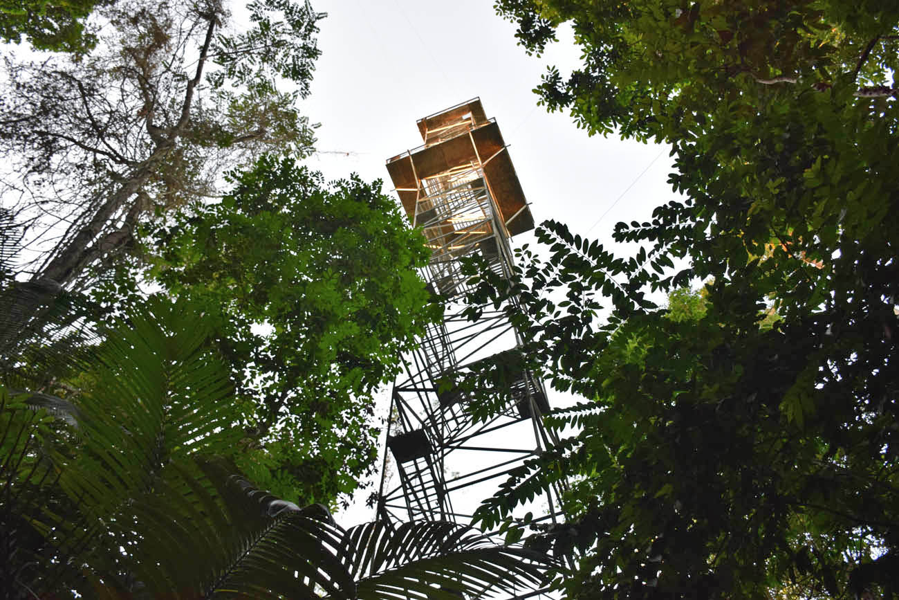 Torre de Observação 2 - Cristalino Lodge - Amazônia