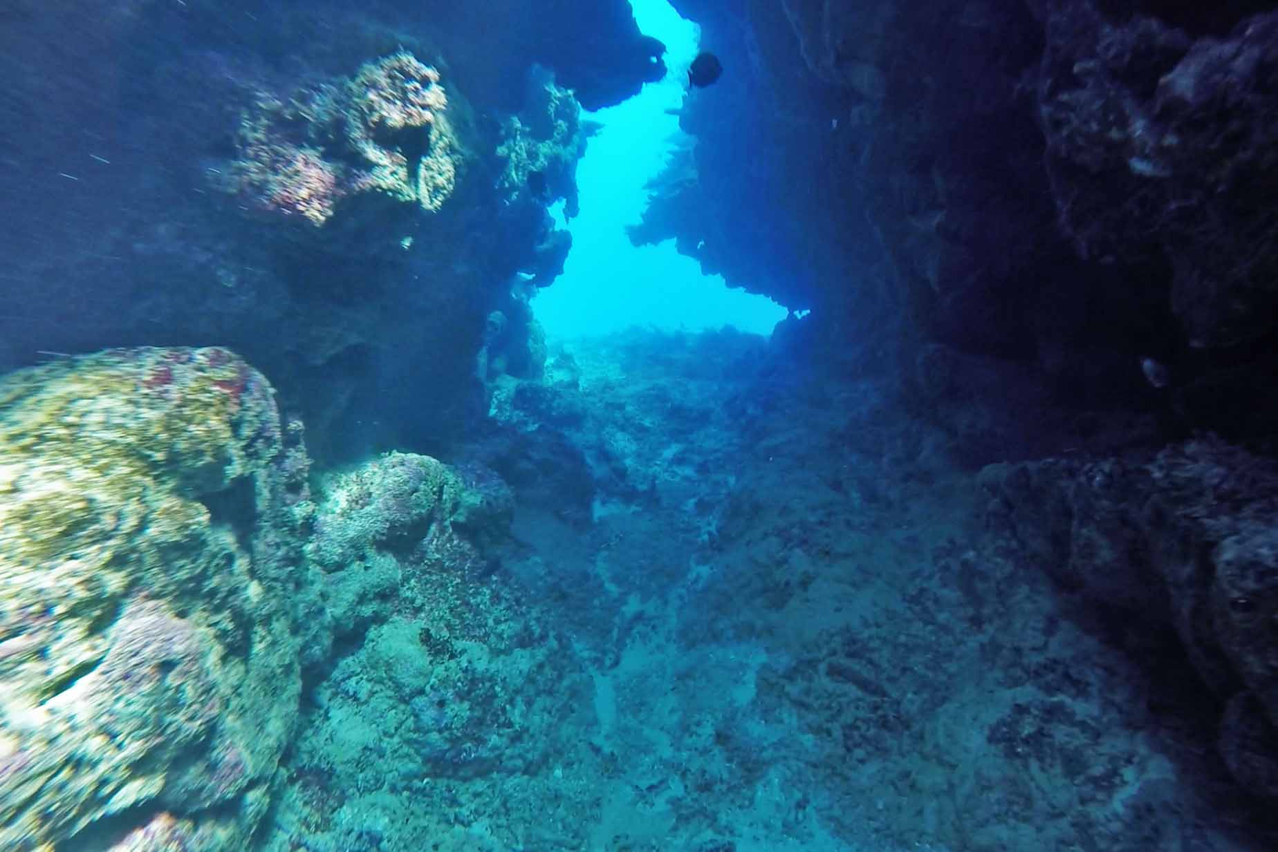 snorkel mushroom reef fiji