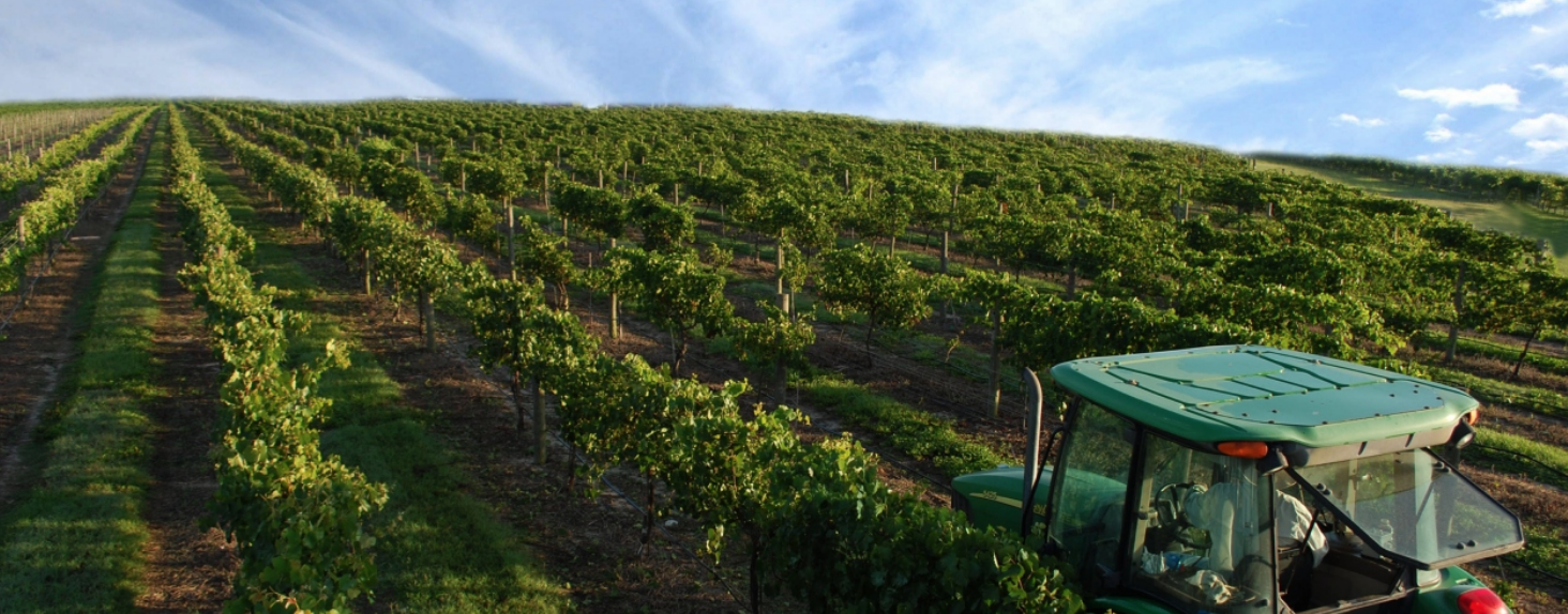lakeridge winery florida