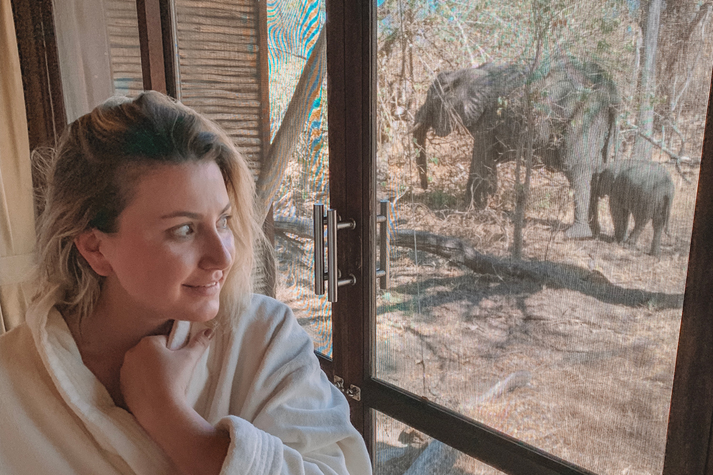 Okavango Delta Botsuana - andBeyond Xaranna Camp Botswana - elefantes em volta do quarto