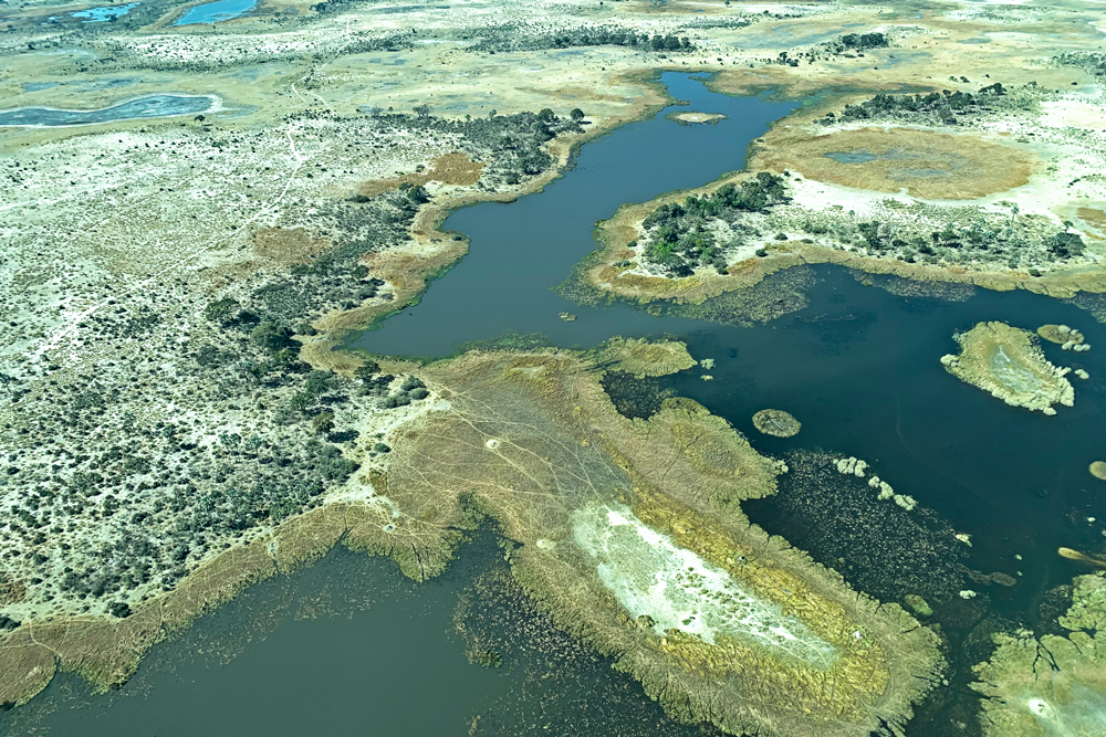 Okavango Delta Botsuana