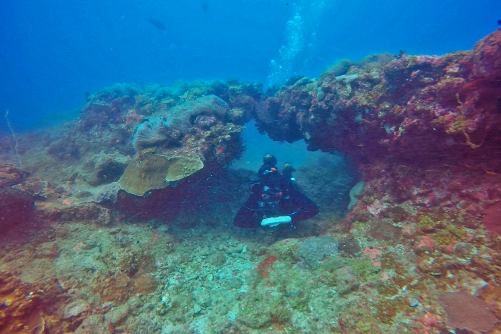 Scuba Dive Two Mile Reef Bazaruto Archipelago Mozambique