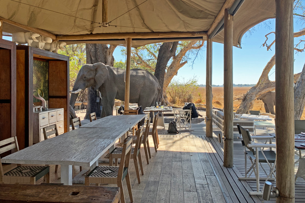 andBeyond Xaranna Okavango Delta Camp Botswana