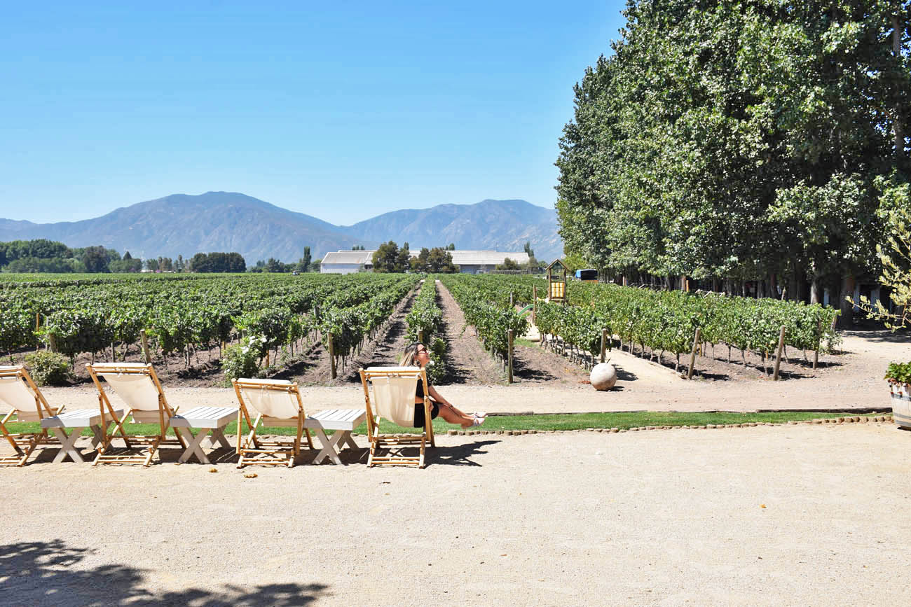 Melhores vinícolas para visitar no Vale do Colchagua - Chile - Viu Manent 
