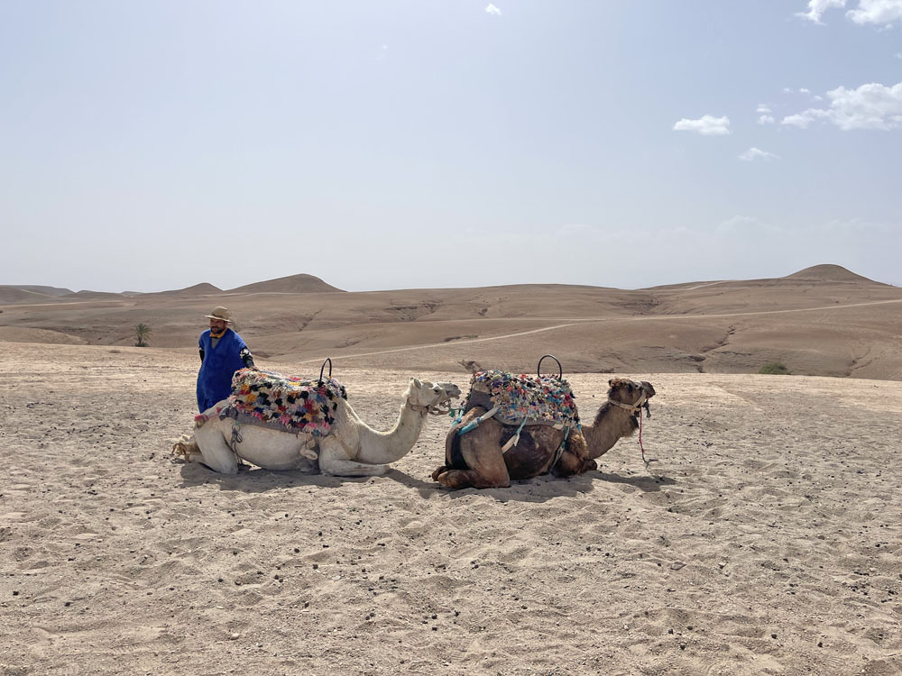 marrocos com crianças - passeio no deserto