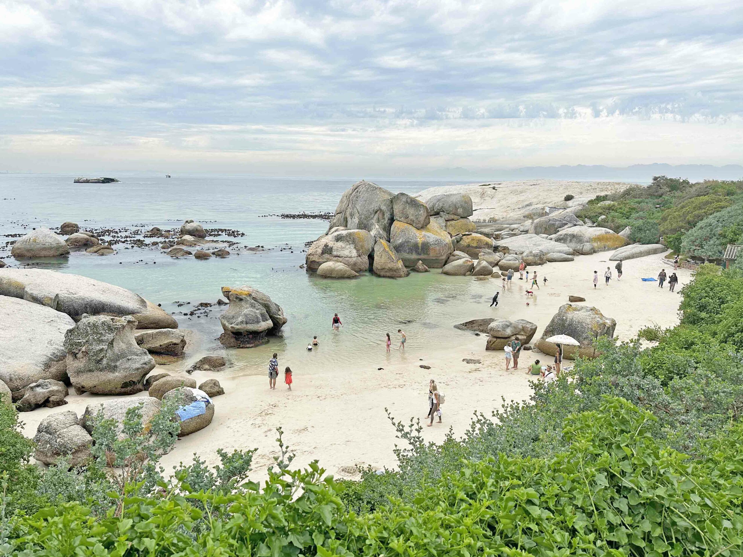 África do Sul com crianças - boulders beach praia com pinguim