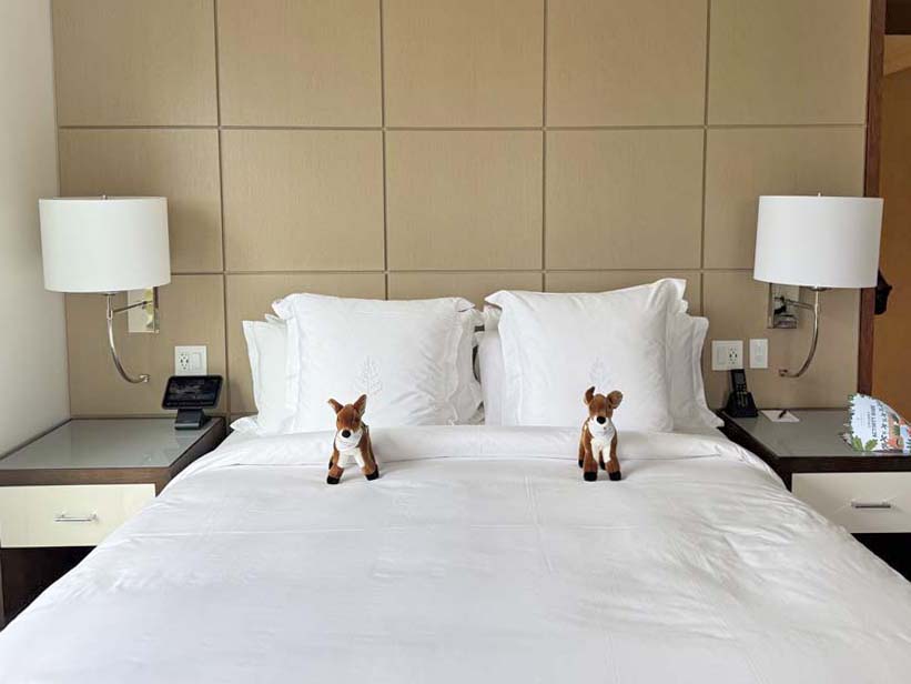 Four Seasons resort orlando disney Four Seasons resort orlando disney
