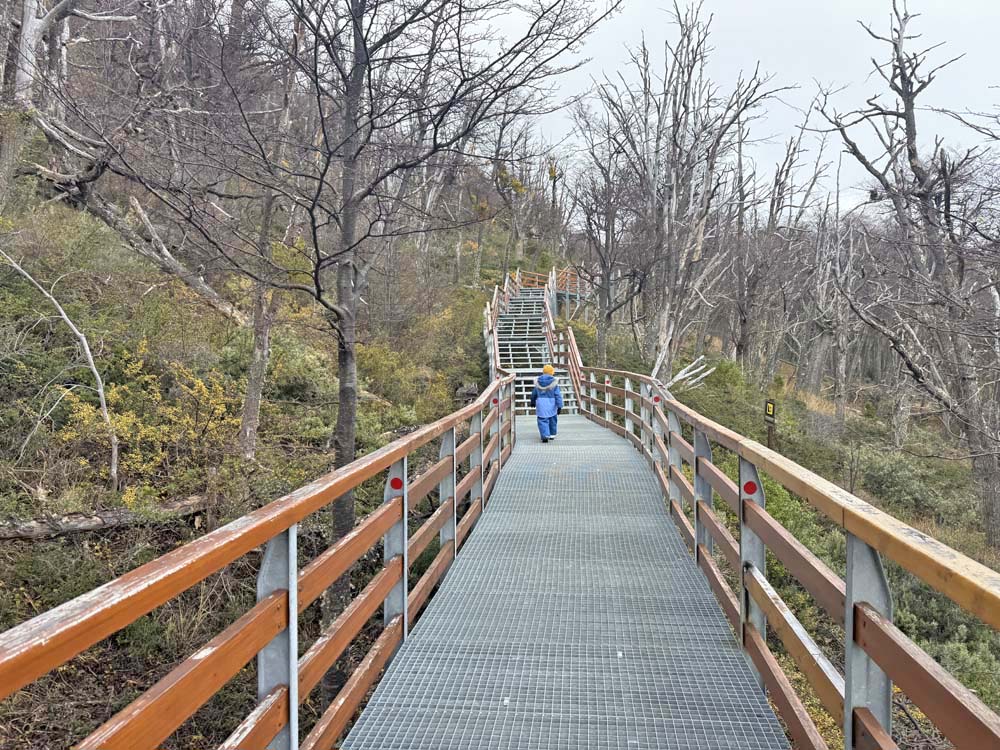 perito moreno - viagem el calafate com crianças perito moreno - viagem el calafate com crianças