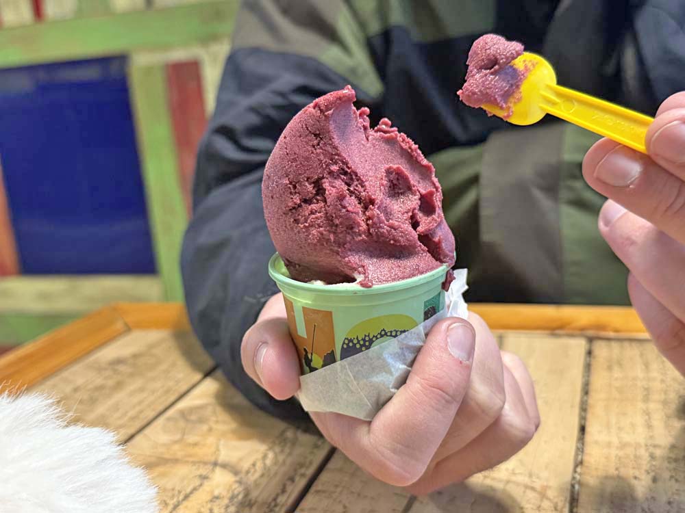 sorveteria el calafate centro el calafate centro