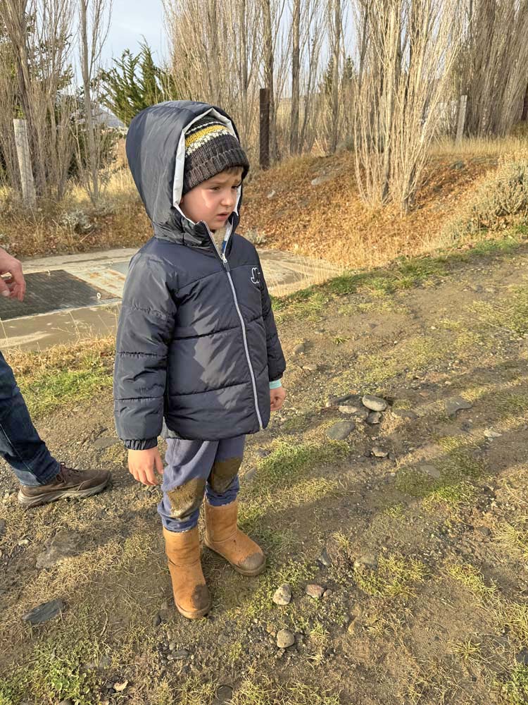 dicas de el calafate dicas de el calafate