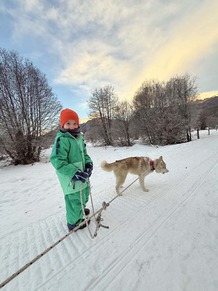 park austral ushuaia husky