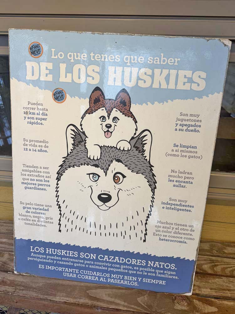 trenó com huskies ushuaia
